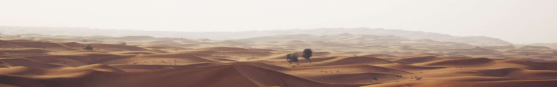 ɭԿط޹˾